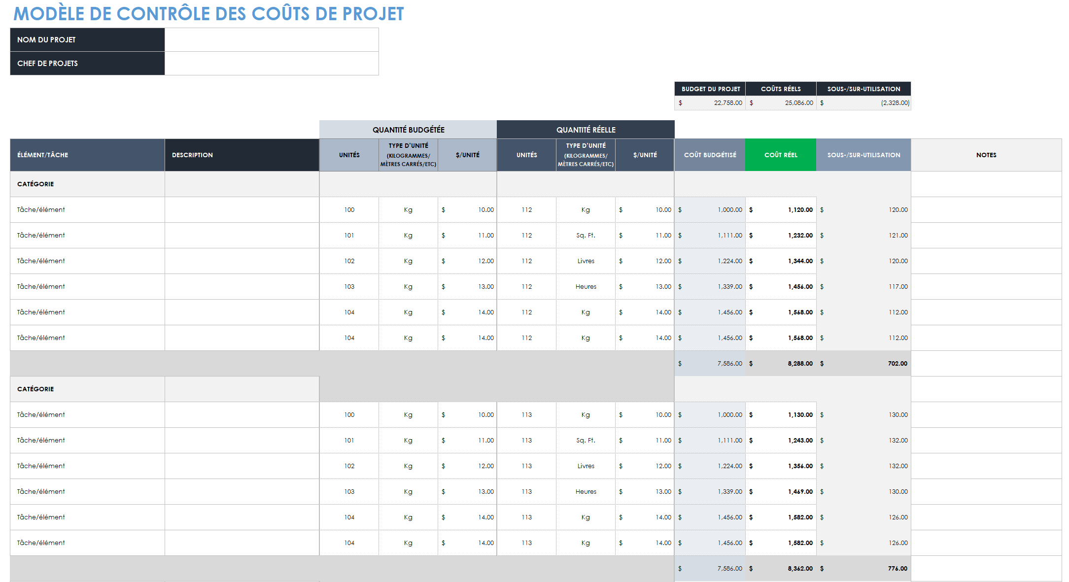 Modèle de contrôle des coûts du projet