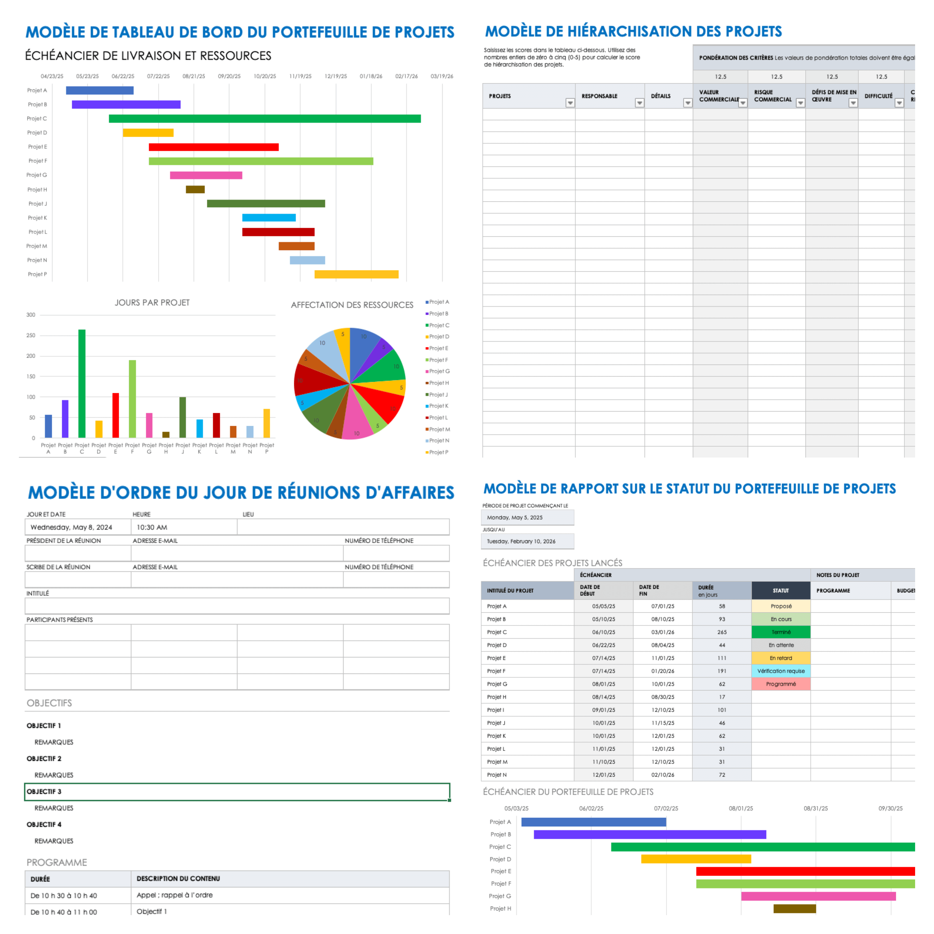 Project Portfolio Management Facilitation Kit French